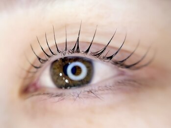 イール(eel)の写真/ナチュラルだけど目を惹く魅力的な目元に♪憧れのすっぴん美人でメイクオフしても華やかな印象に◎