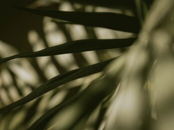 ガーデン 豊中(GARDEN.)/まつげパーマ/まつ毛パーマ/豊中