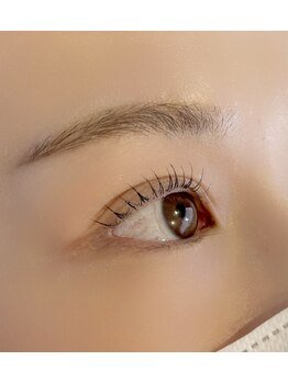 アルメリアリッセ(Armeria lisse)/ラッシュリフト