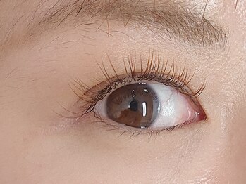 パティオアイラッシュ(Patio eyelash)/カラーエクステ