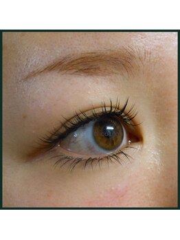 シュシュ(chou chou)/セーブル160本(chouchou吉祥寺)