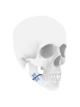 ソワン(Soin)/骨施術の術後インディバ