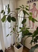 和楽治療院 神楽坂/内観