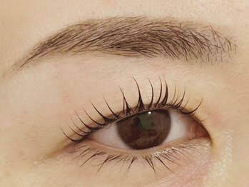 カルムトウキョウ 恵比寿本店(CALM TOKYO)/TRまつ毛パーマアイブロウ恵比寿