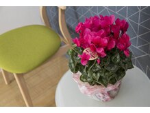 森田整体 瑞穂店/花１【腰痛/名古屋/瑞穂】