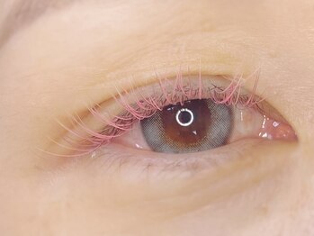 シャッツ(SCHATZ)/カラーエクステ