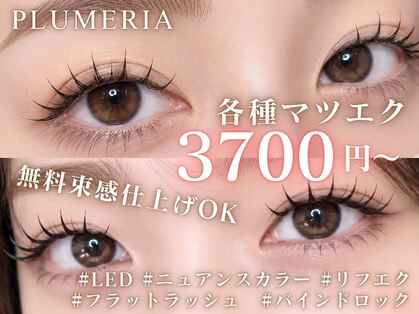 プルメリア 福津店(PLUMERIA)の写真