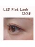 【再来】 華やか◎LEDフラットラッシュ120本/￥7400
