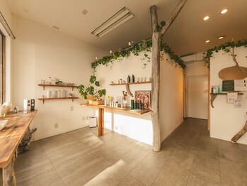 アミティ コーシー(amity cosy)/