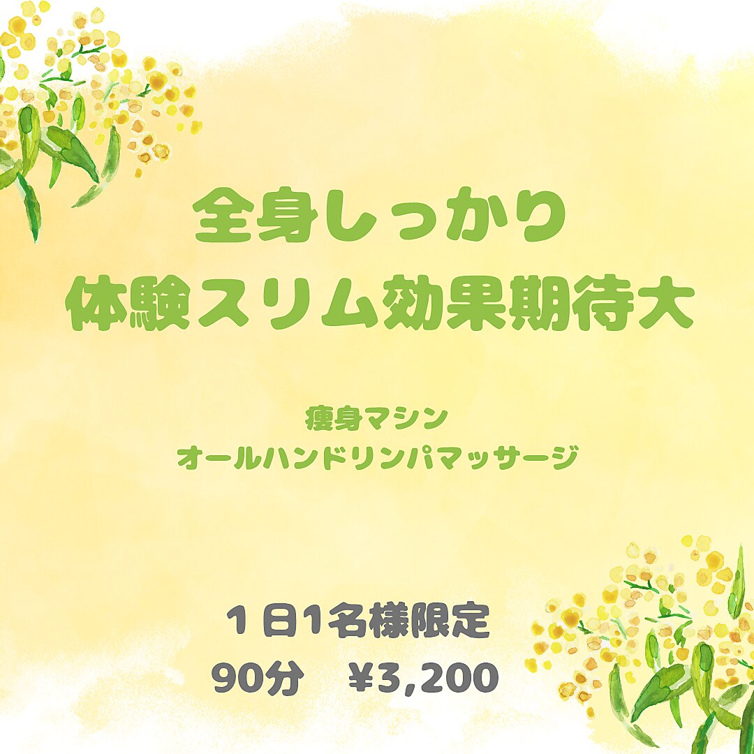 全身しっかり体験スリム効果期待大☆1日1名様限定　90分\3200