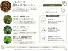 【巡り/リフレッシュ】肝/よもぎ蒸し40分　￥4,400