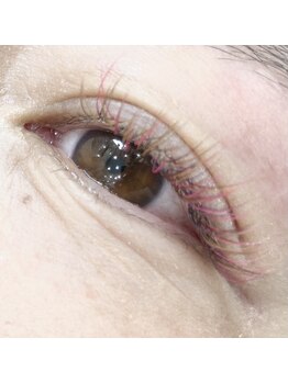 カフー(kafuu)/singlelash～シングルカラー～