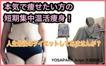 ヨサパーク アンジュ 大和田店(YOSA PARK Ange)