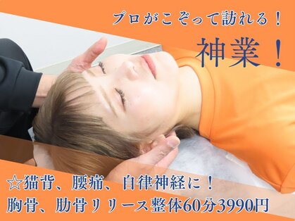 ボディ シェイク(BODY SHAKE)の写真