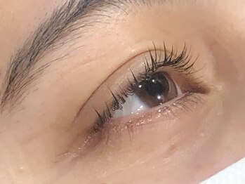 ピクシーボブ(Pixie Bob)/★毛先のみカール