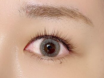 シル シェノン(cil shenon)/ブラウンエクステ140本