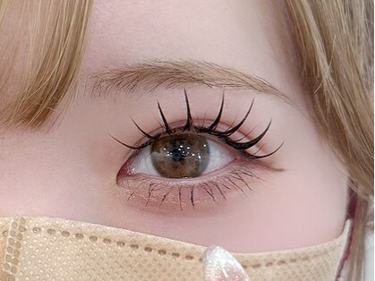 リノ(rino)の写真