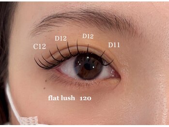 ダリア(DAHLIA)/フラットラッシュ120本