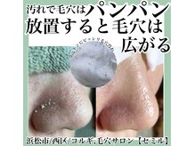 セミル(SEMIRU)/毛穴改善コース