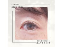 brown colorバインドロック100束