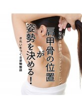 はたらくからだ研究所/肩甲骨の位置が姿勢を決める