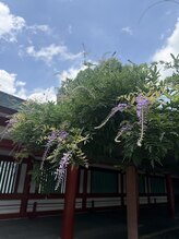 セバス 赤坂見附(SEBAS)/日枝神社が近いのも魅力！