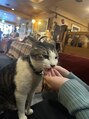 シーズネイル(She's nail) 新宿ある猫喫茶すごくおすすめです♪