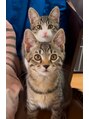 小顔フェイスラボ 袋井店(小顔FaceLabo.)&nbsp;愛猫のムギとチロルです♪