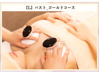 ビューティースリム リボーン 新宿店(reborn)/【L】バストゴールドコース