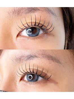 スタードットアイラッシュ 小牧店(☆☆☆...eyelash)/ボリュームラッシュ 120束