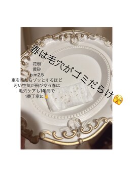 プラスエム(+M)/春の毛穴掃除