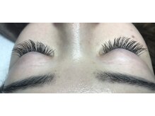 オランダエステティック(Holland Esthetics)/フラットラシユ，柔らかい毛