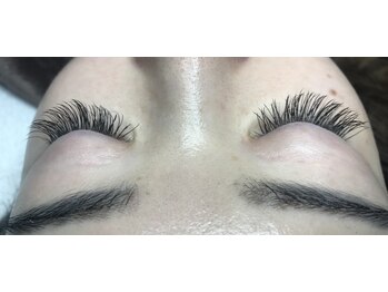 オランダエステティック(Holland Esthetics)/フラットラシユ，柔らかい毛