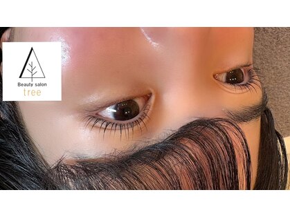 ツリー(tree)の写真