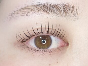 ラマ(LaMa)/似合わせカールラッシュリフト