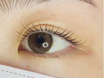 ペルシャ(Persian)/お客様デザイン(担当:宮井)