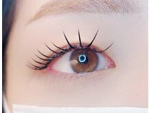 スキル(SKILL)/バインドロック120束