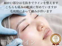 サルレ(Sarule)/アイブロウ/間引き無し/美眉