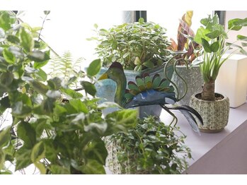 ナンディン/▼施術スペース（4）