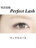 【ＰｅｒｆｅｃｔＬａｓｈ】マックス　¥15000→¥14000