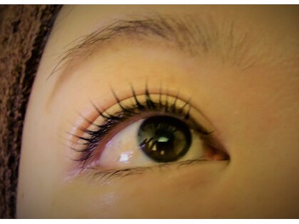 パロマローズの写真