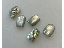 【定額デザイン】