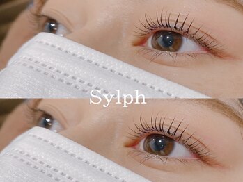 シルフ シーン店(sylph SCENE)の写真/ぱっちりカールが続く大人気まつ毛パーマ☆美容成分入りコーティング付¥3500◇貴女に似合う印象的な目元に!