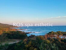 アールオーエス(ROS)