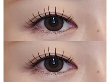 ネオリーブサイン(Neolive sign)/フラットラッシュ120本