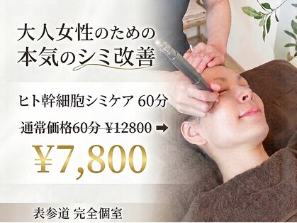 フリージア(Freesia)の写真
