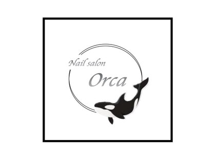 オルカ(Orca)の写真