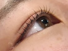 ピクシーボブ(Pixie Bob)/★根本から毛先までカール