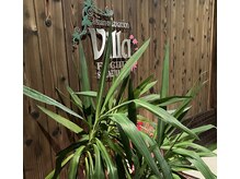 アジアンリラクゼーション ヴィラ 府中栄町店(asian relaxation villa)/スタッフ