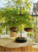 ふじなわ免疫活性堂/「バランス」を大切に